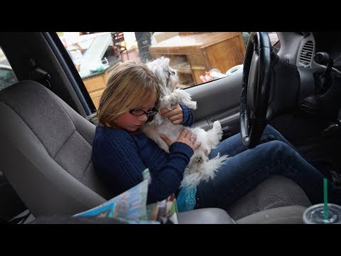 The Eviction Epidemic: Matthew Desmond