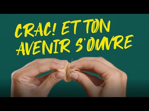 Crac ton avenir -  les études de chiropratique t'attendent !