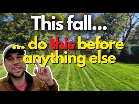 Fall Lawn Care Routine | Overseeding, Fertilizer & Watering Tips