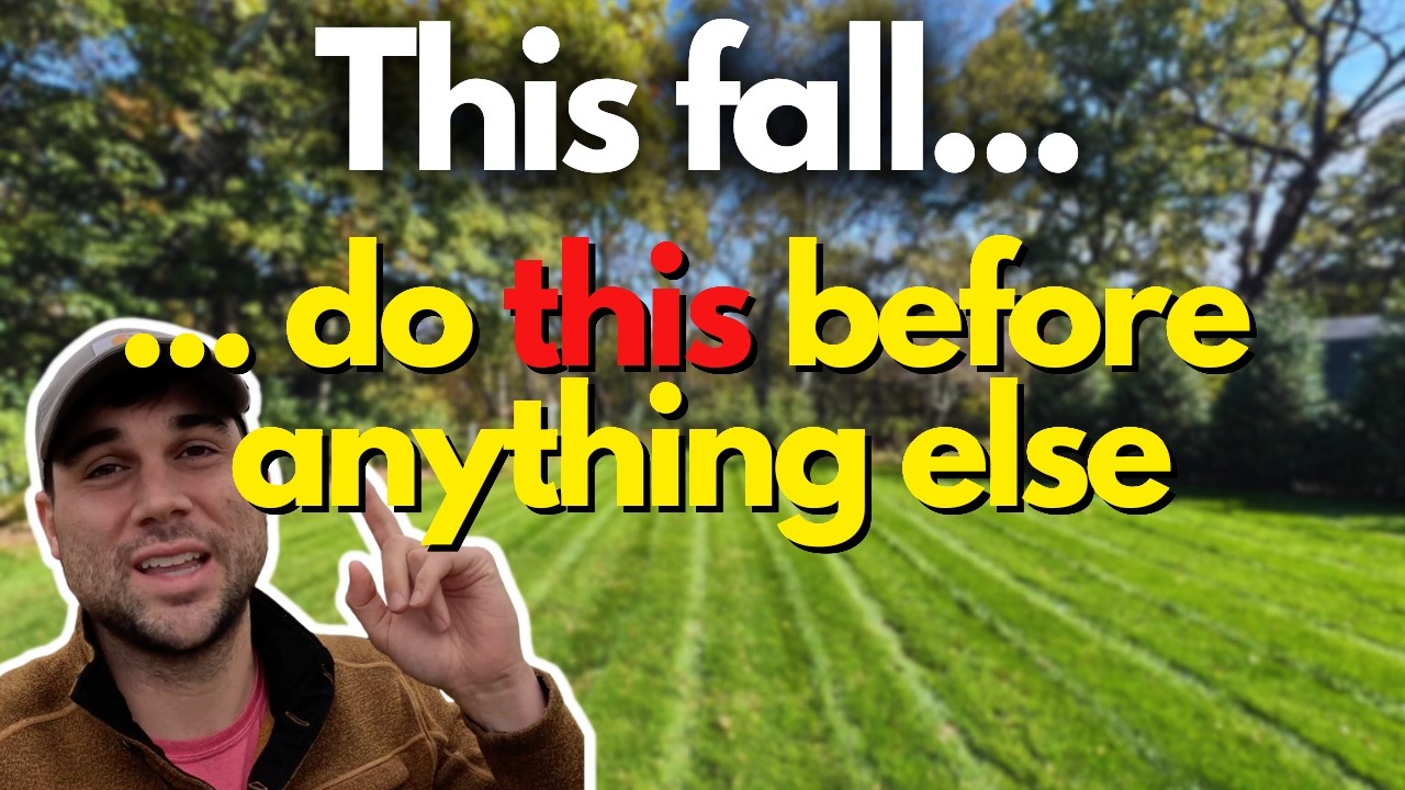 Fall Lawn Care Routine | Overseeding, Fertilizer & Watering Tips