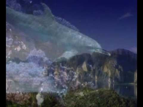 CREO EN UN SOLO DIOS (VERBUM PANIS)