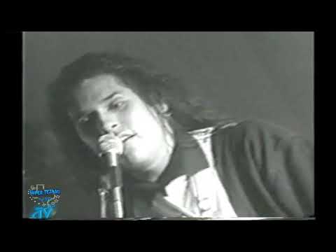 Albert Zamora y Talento Live