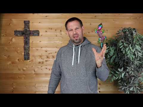 Gedanken zum Tag (10.07.2020)