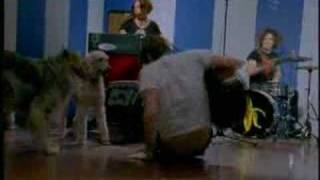 The Dandy Warhols-Smoke It