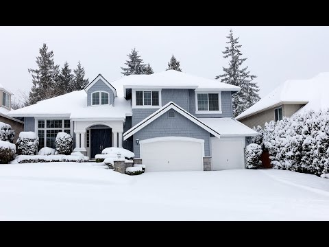 Keeping the Home Pest Free in Winter