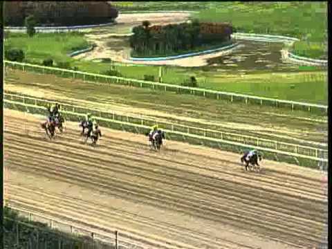 Resumen Domingo, 22 de Diciembre de 2013 - La Rinconada