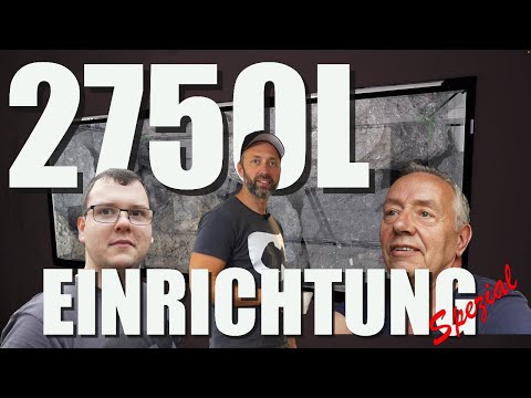 EINRICHTUNG XXXL - Uwes 250x110x100 Aquarium ist FERTIG!!!