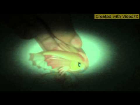 Mat Zo feat. The Knocks -AMusic Video by CEJD