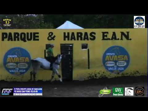 IV' ETAPA CIRCUITO AVASA DE VAQUEJADA PQ EAN PEDRO VELHO-RN