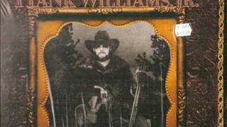 Hank Williams Jr ~ Stoned At The Jukebox (Vinyl)
