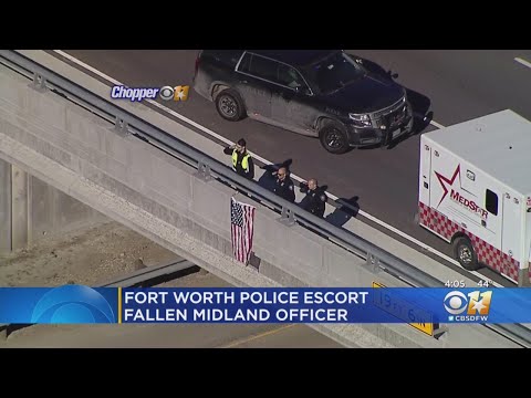 Fort Wort Escort