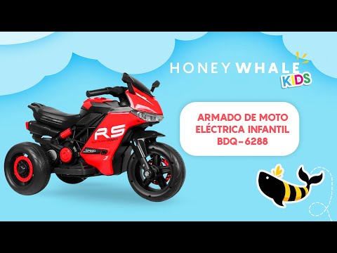 Armado del modelo BDQ-6288