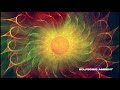 Earth Star Gold Star And Soul Star Chakras Alignment And Connection Chakra Series