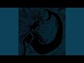 Restless Waves (Live at ATP)