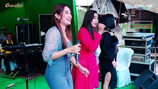 Download lagu CAMELIA KEMESRAAN ALL ARTIS - WEDDING BRIPDA RIZAL & BELLA KALIPUCANG KULON mp3