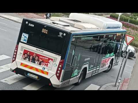 STCP New Buses - 3289 & 3394 - 801