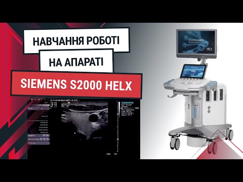 УЗД апарат Siemens S2000 Helx – навчання роботі на конвексному, лінійному, кардіологічному датчиках - Статті RH
