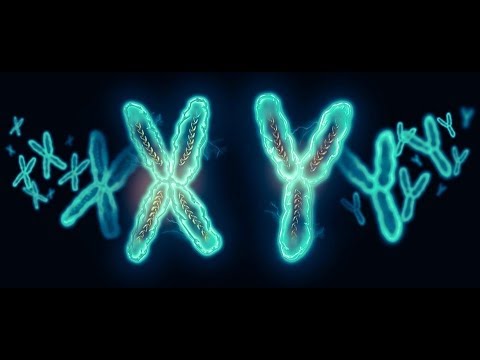 Binnie's mods/Genetics Minecraft