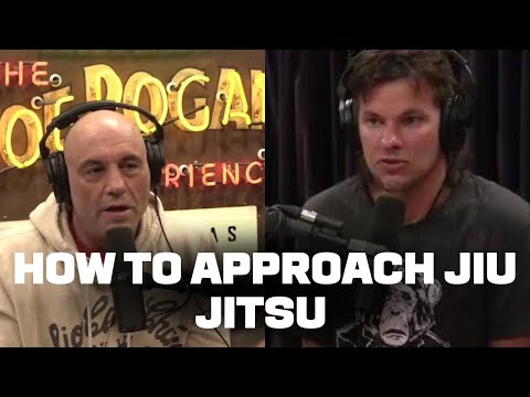 Joe Rogan’s Advice to Theo Von to Starting BJJ