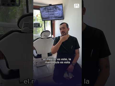 Miguel Castellanos Gutiérrez-6