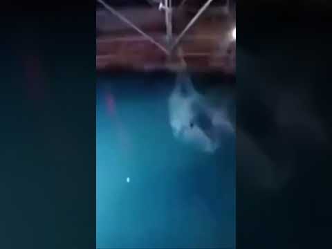 Paul Kasemir's Shocking Stage 1 Fail - American Ninja Warrior 2015