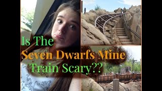 Is the Seven Dwarfs Mine Train Scary??