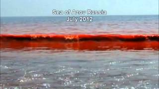 Signs and Warning of the Second Coming of Our Lord Jesus Christ