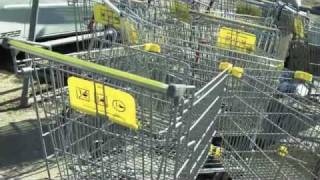 Citizen Fish - &#39;Human Conditioner&#39;