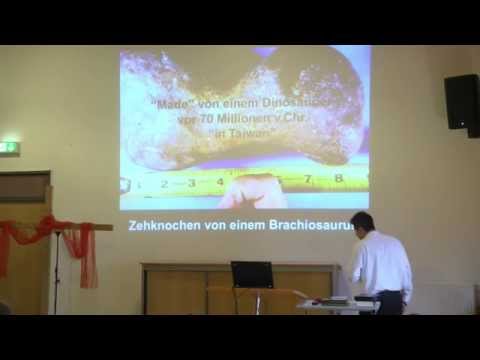 Die Schöpfung Gottes Teil 1