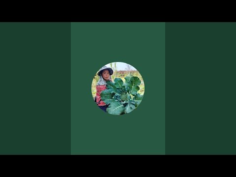 Farm life with super Mom is live