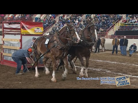 Pennsylvania Farm Show | Harrisburg, PA | Largest Indoor Agricultural Exposition in U.S.