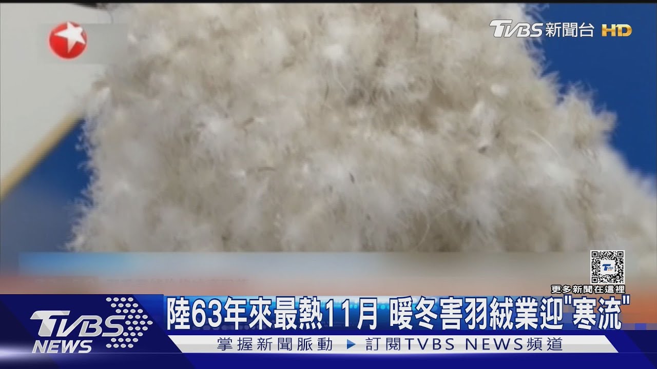 羽絨原料價格飆漲+暖冬 陸羽絨衣賣不動迎「寒流」