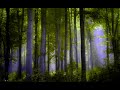 Enigma The Child In Us 800 Slowed Ambient
