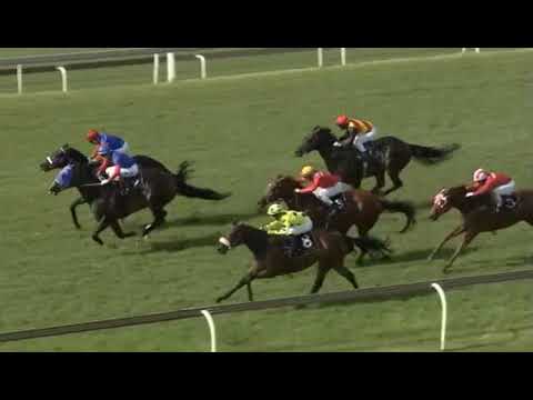 MIGHTY HIGH - Senor Santa Stakes