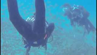 preview picture of video 'Diving with Devocean in Ponta do Ouro, Mozambique - October 2014'