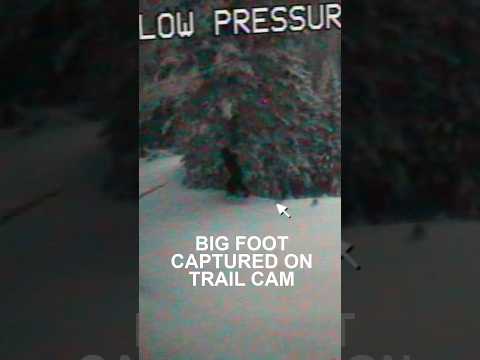 Bigfoot Captured on Department of Transportation Trail Cam