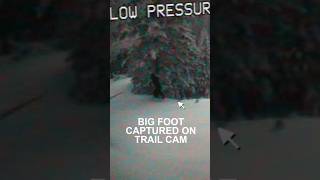Download lagu Bigfoot Captured on Department of Transportation Trail Cam mp3