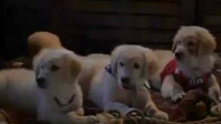 lean on me mitchel musso