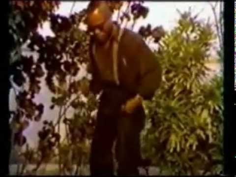 ANICET RIGADIN MAVOUNGOU  -  MUME MANGA SONI
