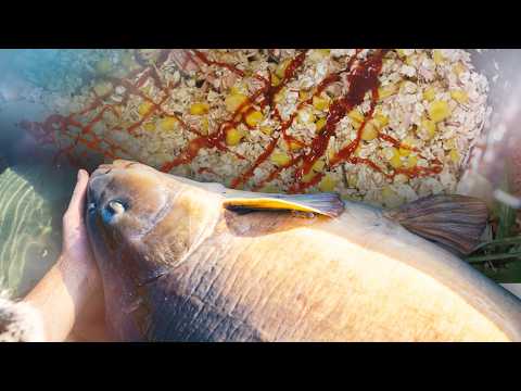 Supermarkt Spodmix: 5 Futter Hacks für Karpfenangler