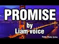 PROMISE BY LIAM VOICE Audio