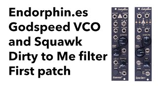 Video thumbnail for Endorphines Godspeed VCO and Squawk Dirty To Me filter - first impressions by John Schussler