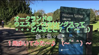 オークランドのウエスタンスプリングスってどんなとこ?( ̄~ ̄;)
