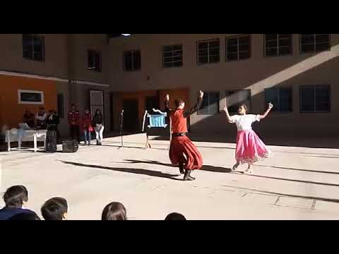 Gato Floro  por Valentina y Joel