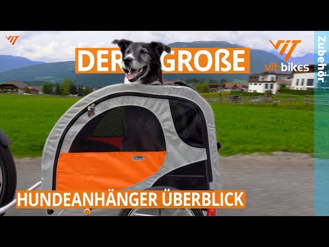 The best dog trailers of 2023 🐕🐶 - the big overview