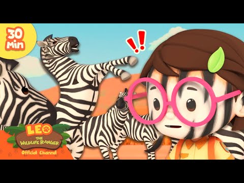 Witness21 Editor  2025 02 13