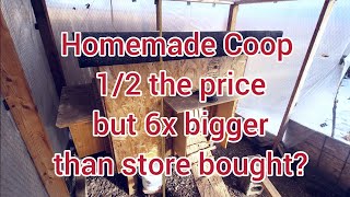 Building a Chicken Coop on a Tight Budget vs. Buying a Store