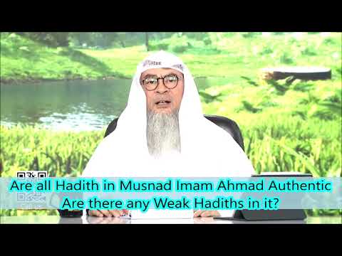 Are all hadith in Musnad Imam Ahmed authentic?