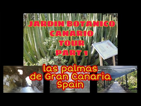 TOUR JARDIN BOTANICO CANARIO/PARTE 1/Las Palmas Espanha/Graça e Pedras