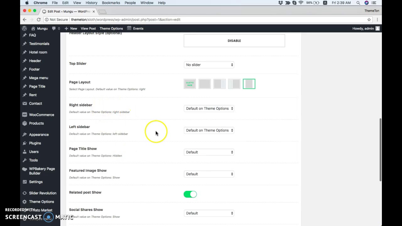 Post & Page options: Lagom WordPress Theme